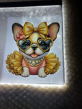 Frenchie dog youth