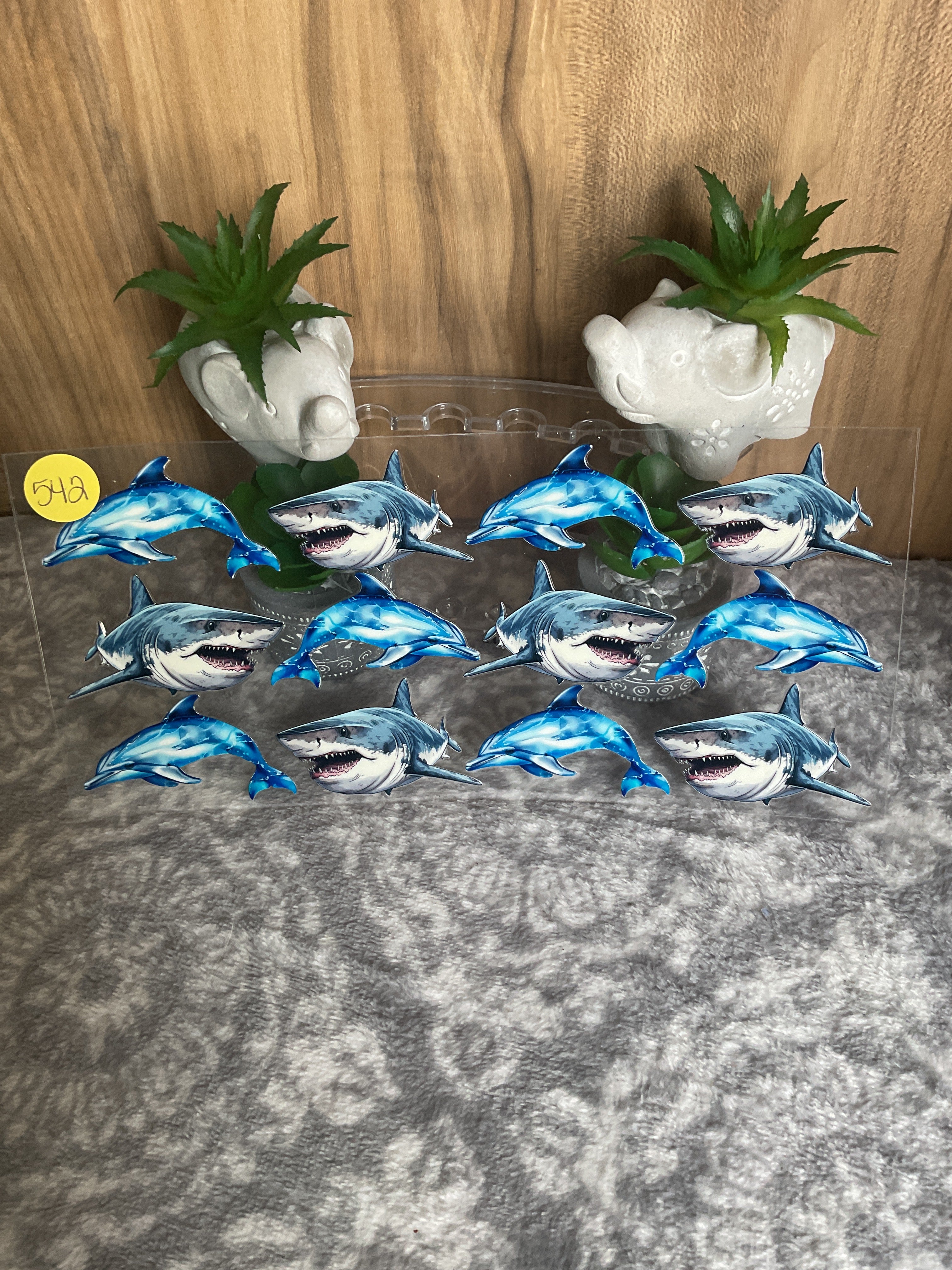 Shark and dolphins 542