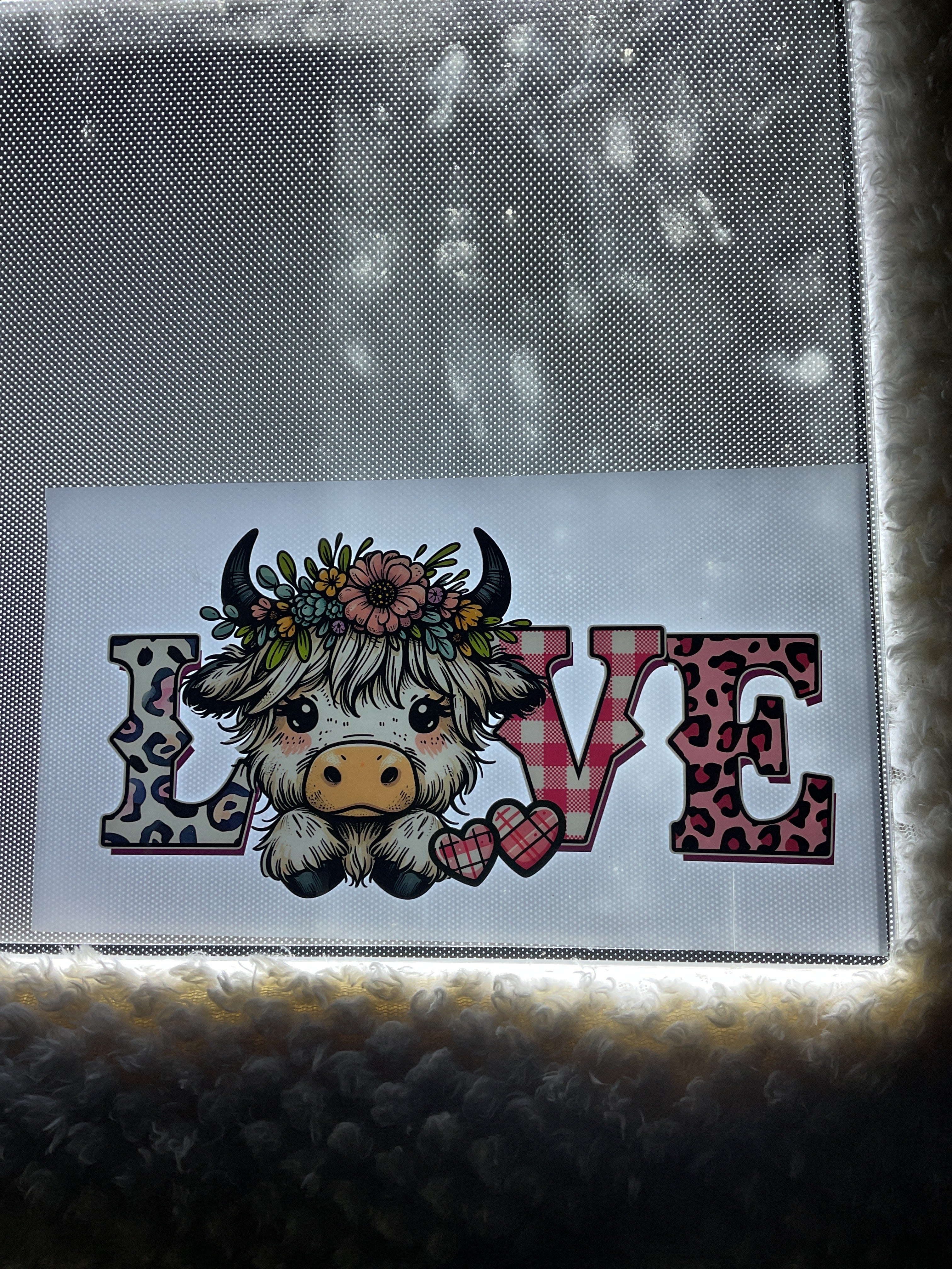Highland cow love youth size