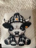 Black and white highland cow