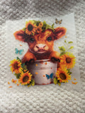 Brown Highland, cow, in a flower pot