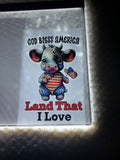 God bless America land that I love youth