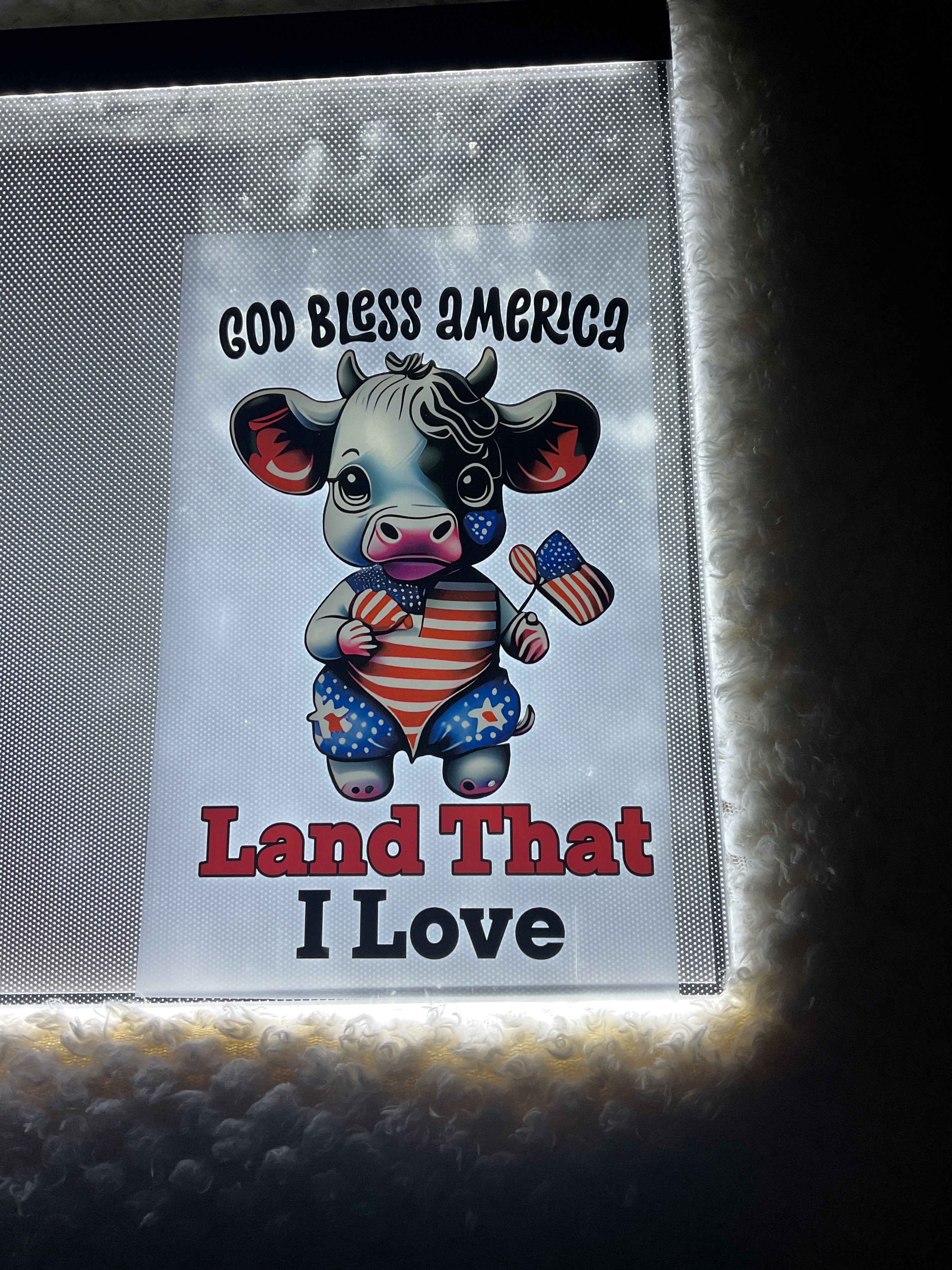 God bless America land that I love youth