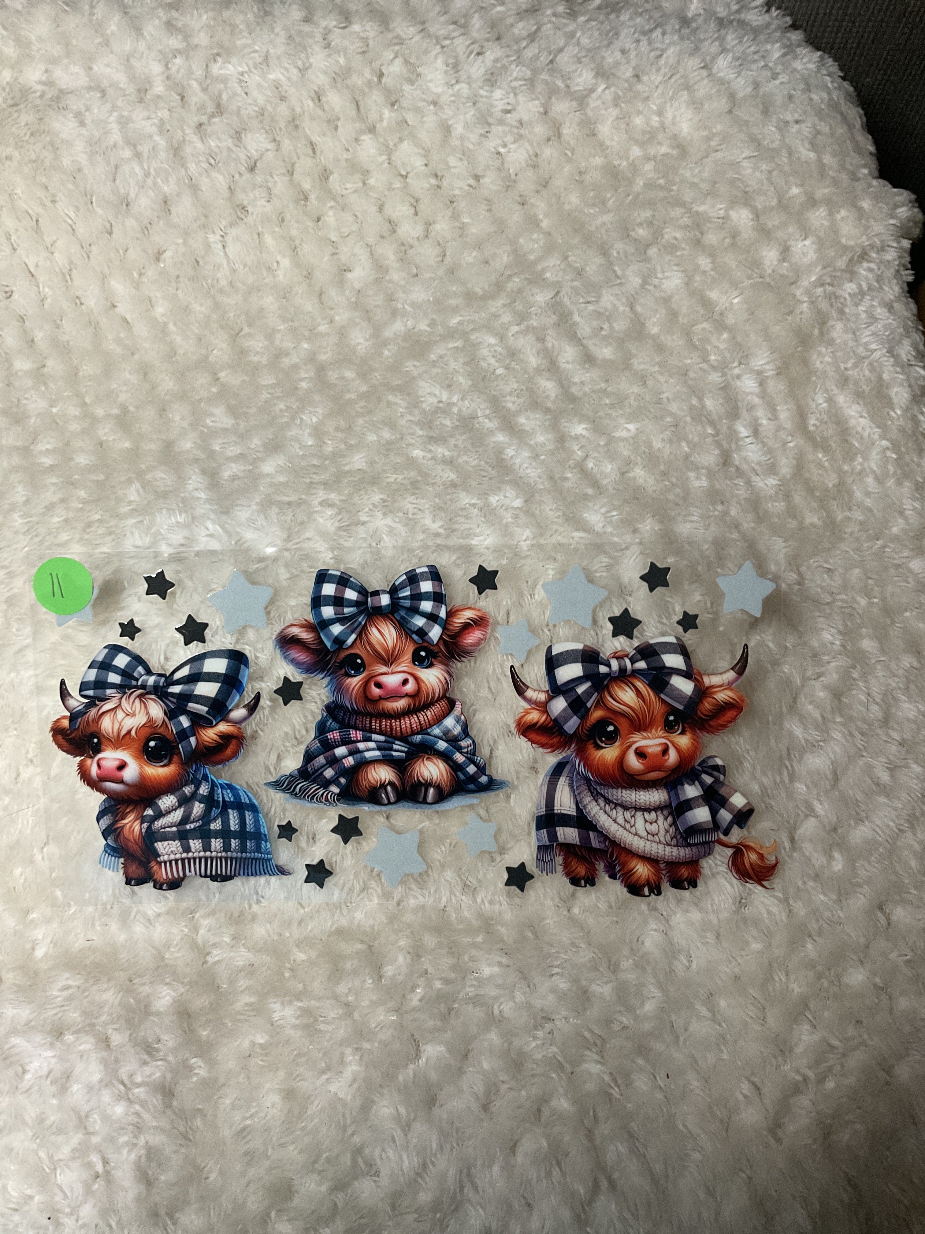 Highland cow wearing a scarf with the plaid bow 011