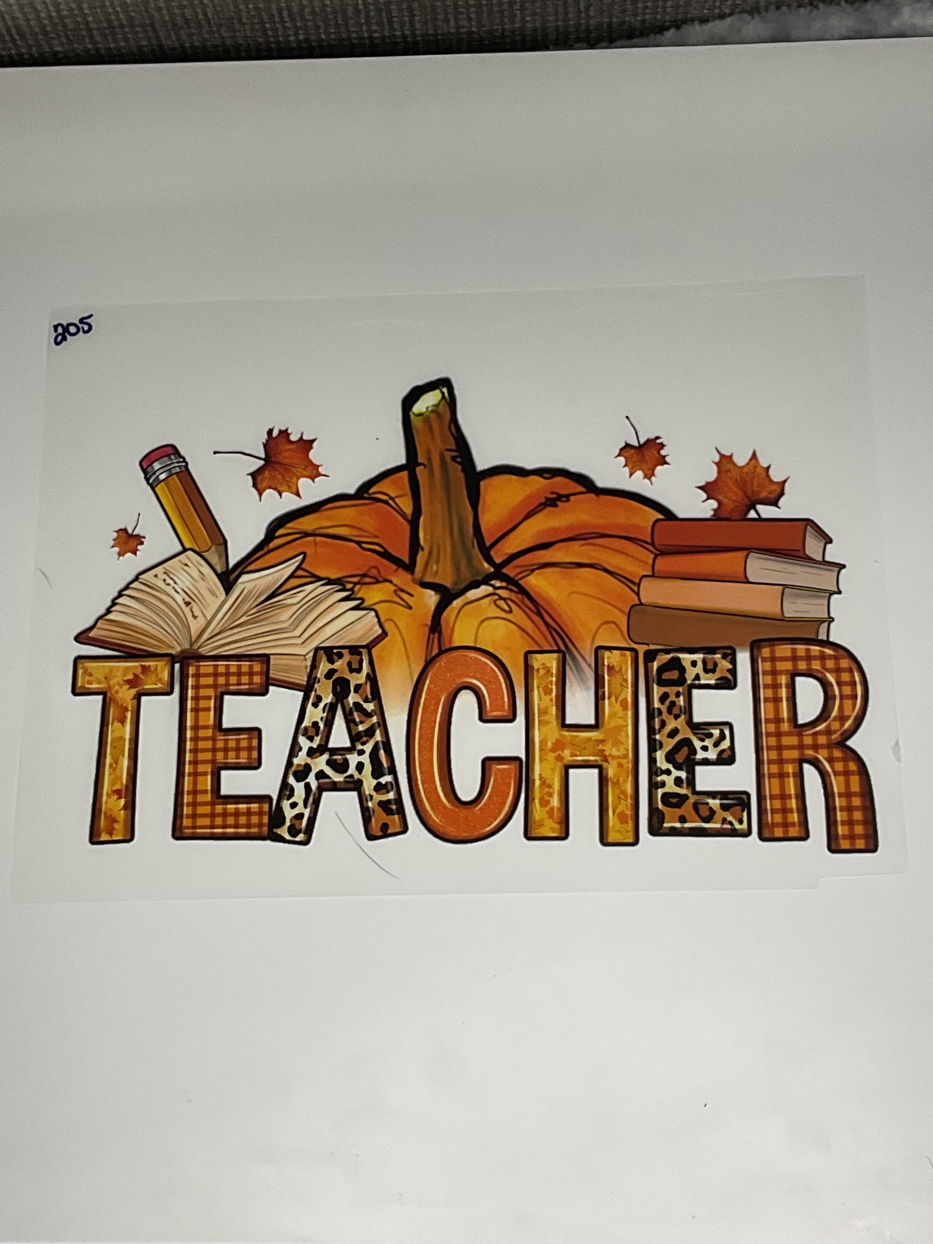 Teacher 205