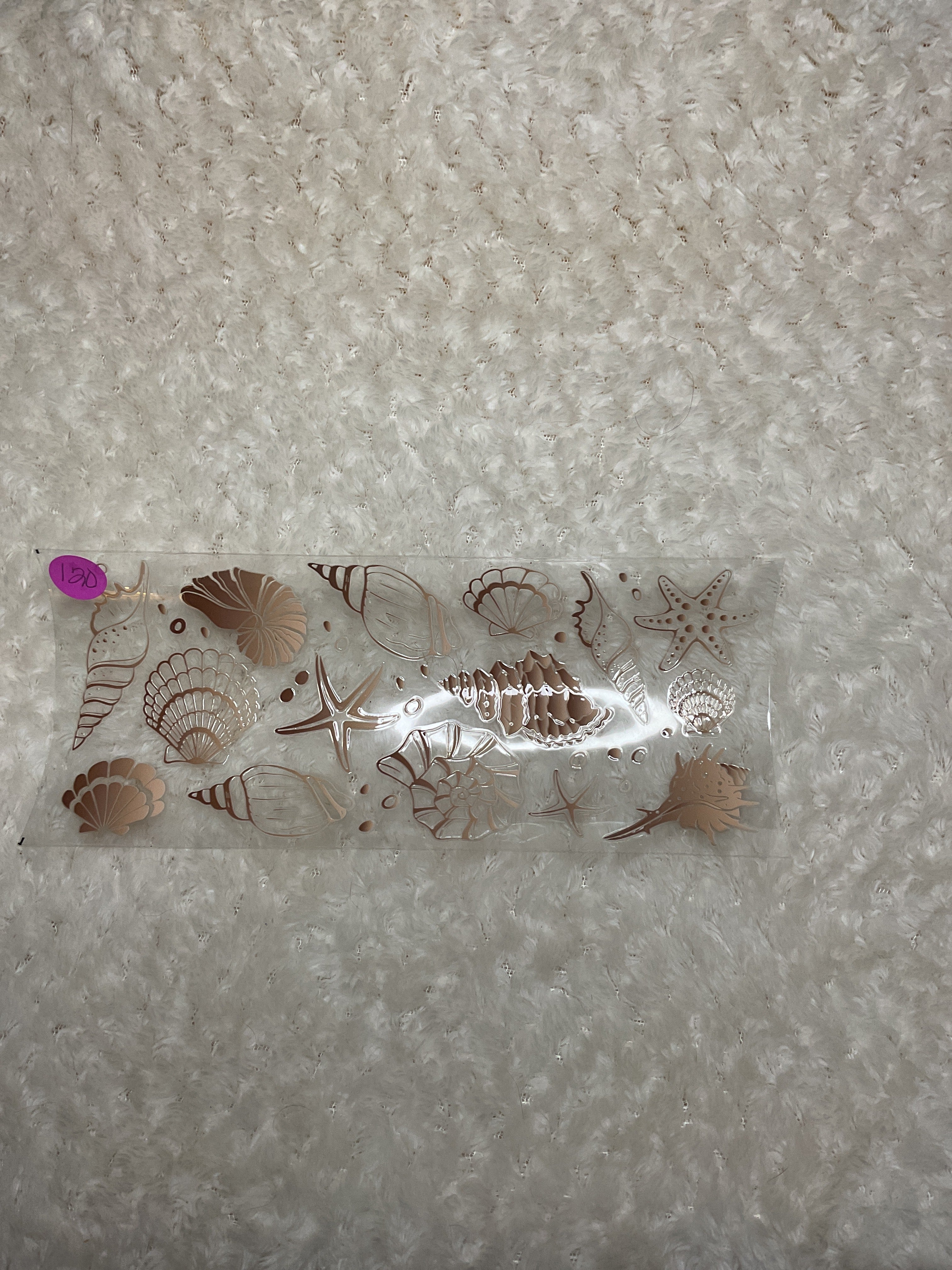 Seashells 120