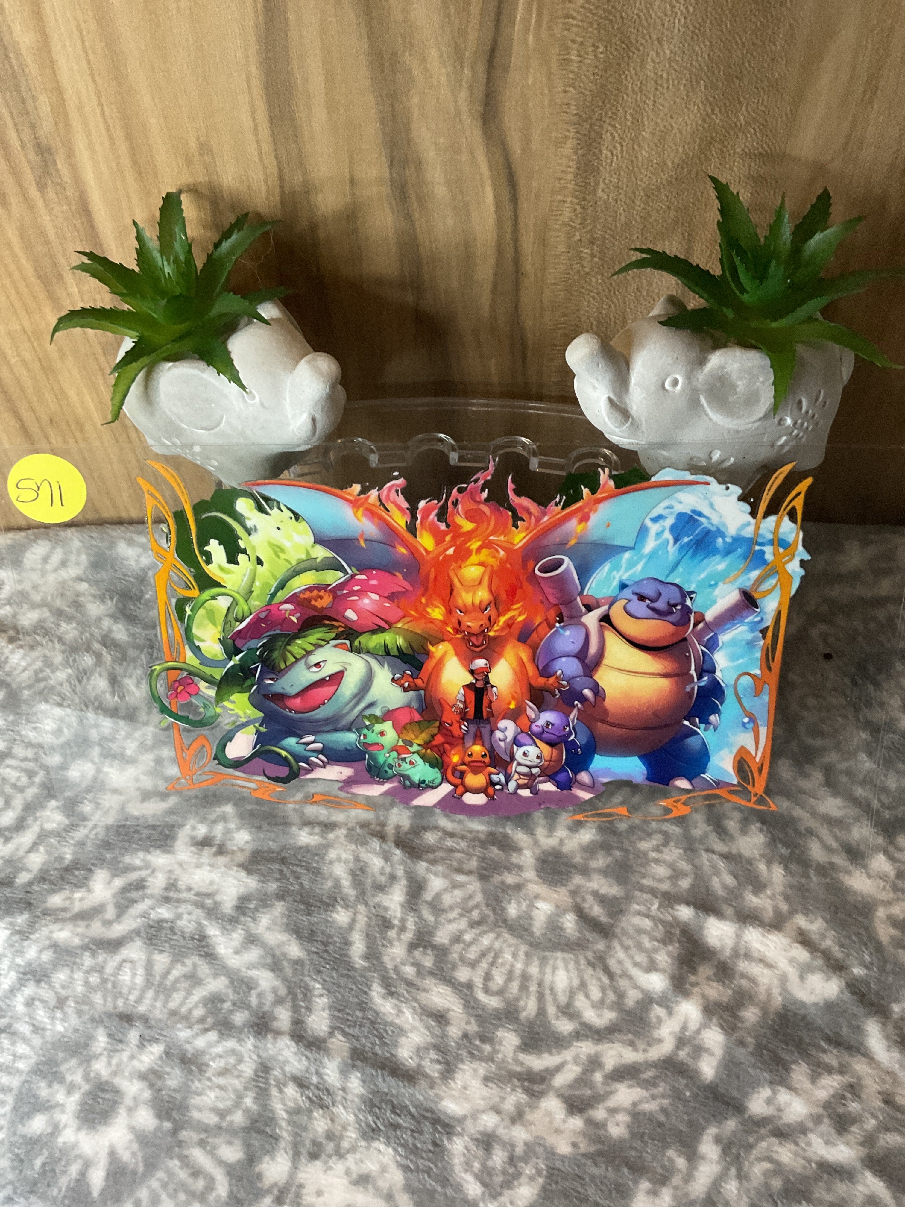 Pokémon 571