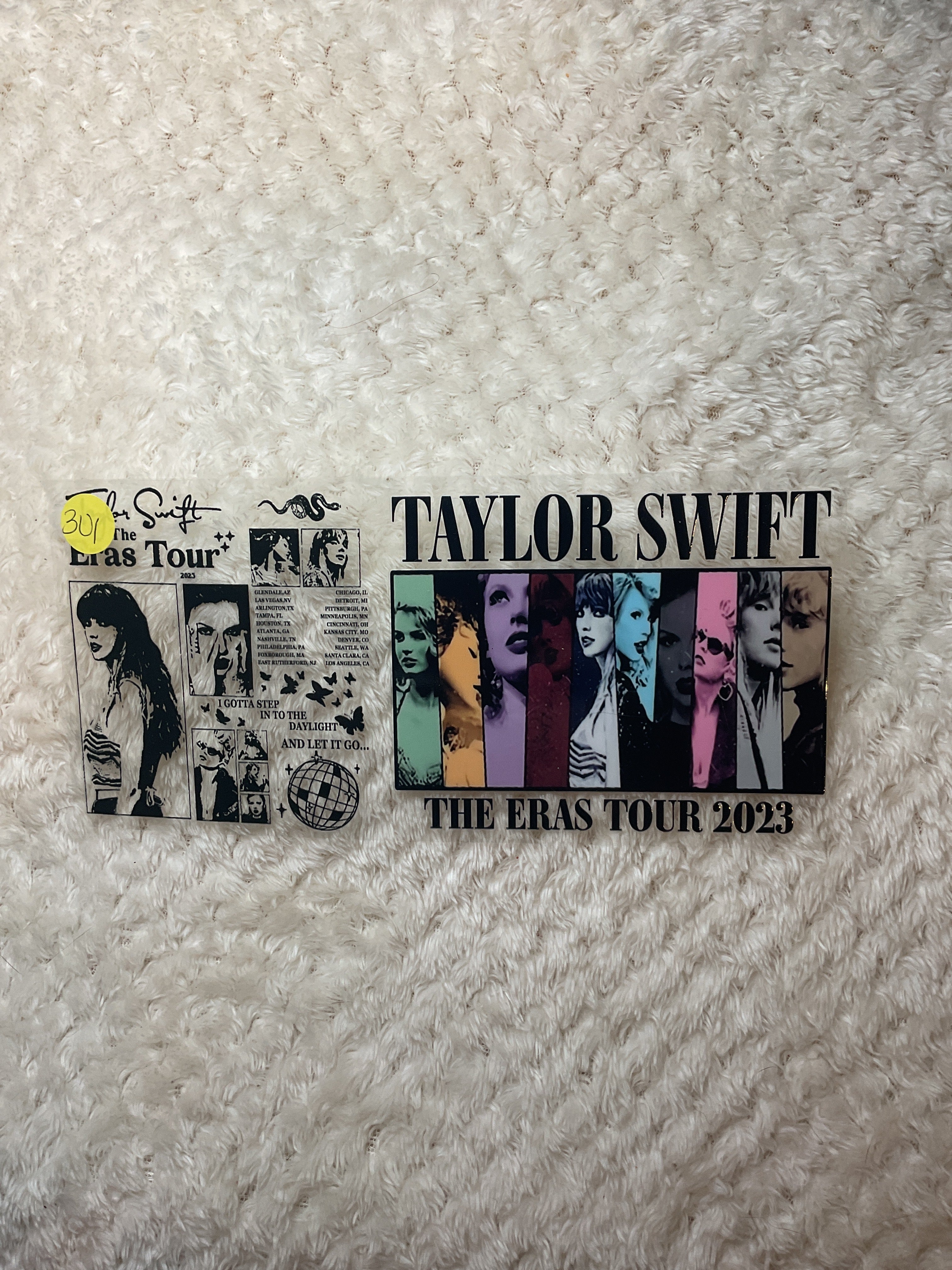 Taylor Swift 301