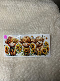 Highland cow Trio, 009