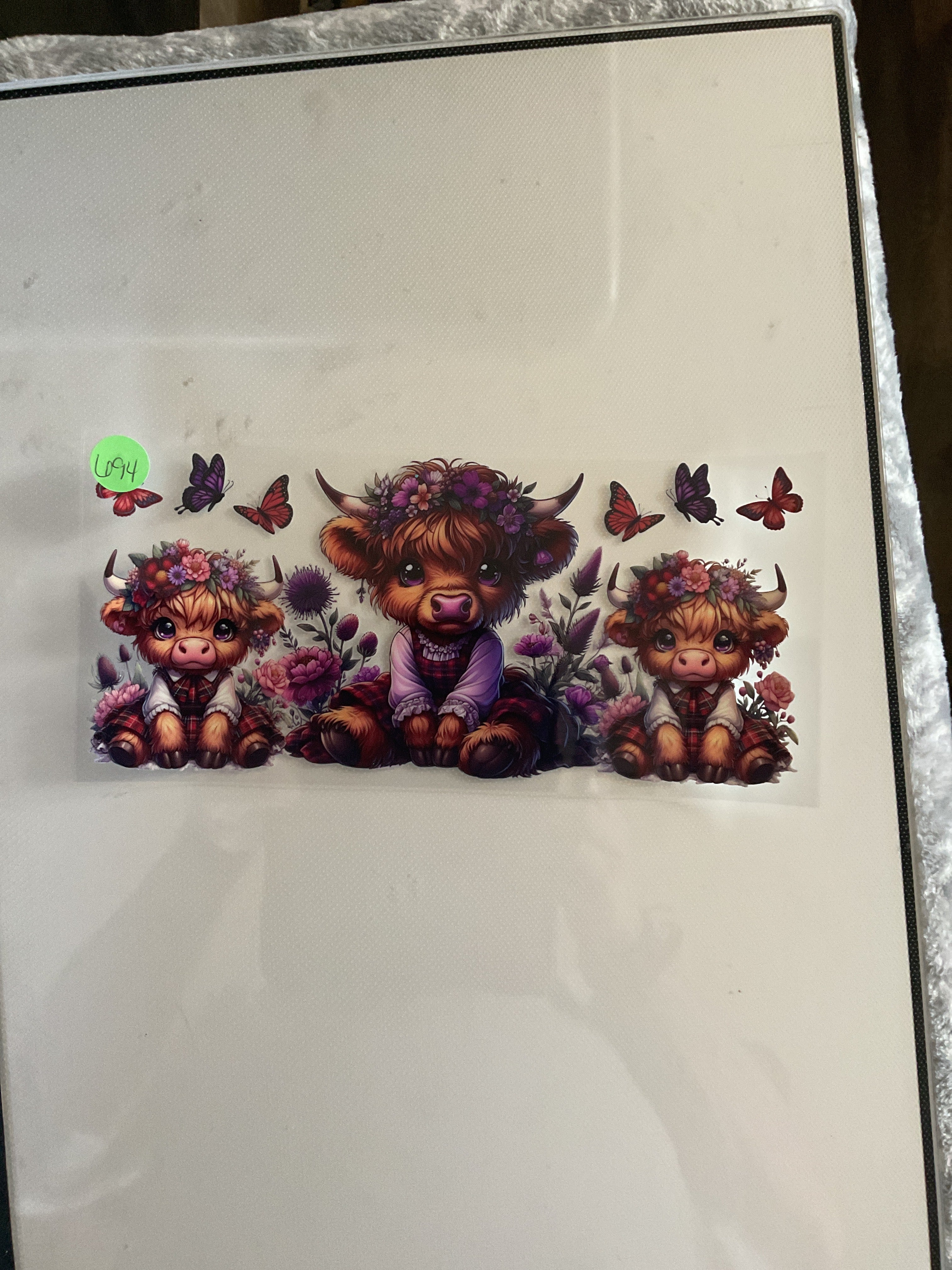 Highland cow with purple 694