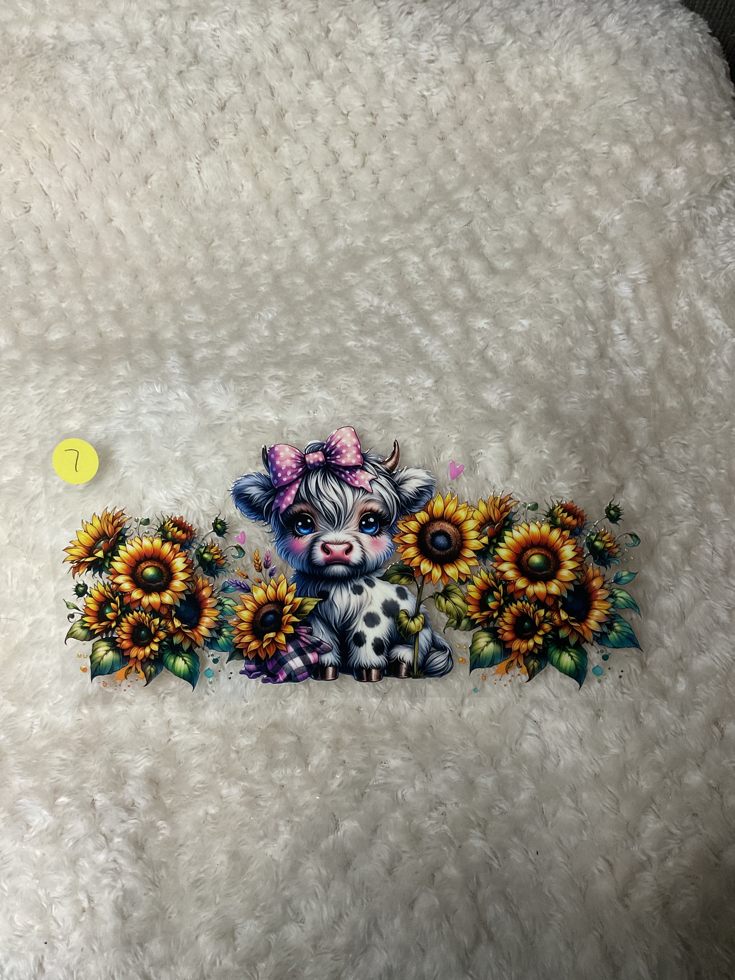White and black spots as the purple bow 007