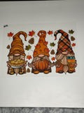 Fall garden gnomes 208
