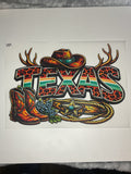 Texas #151