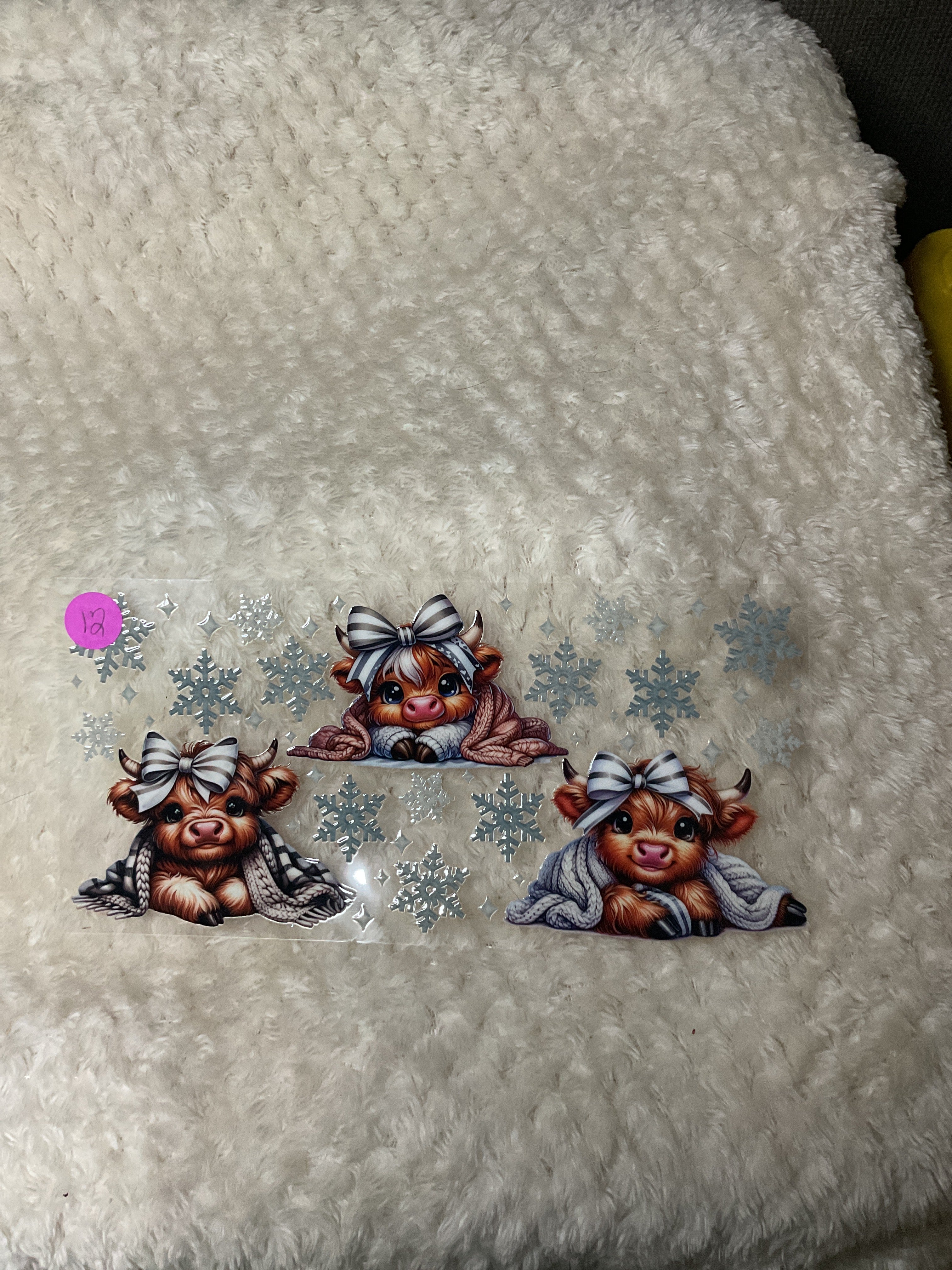 Snowflake highland cow 012
