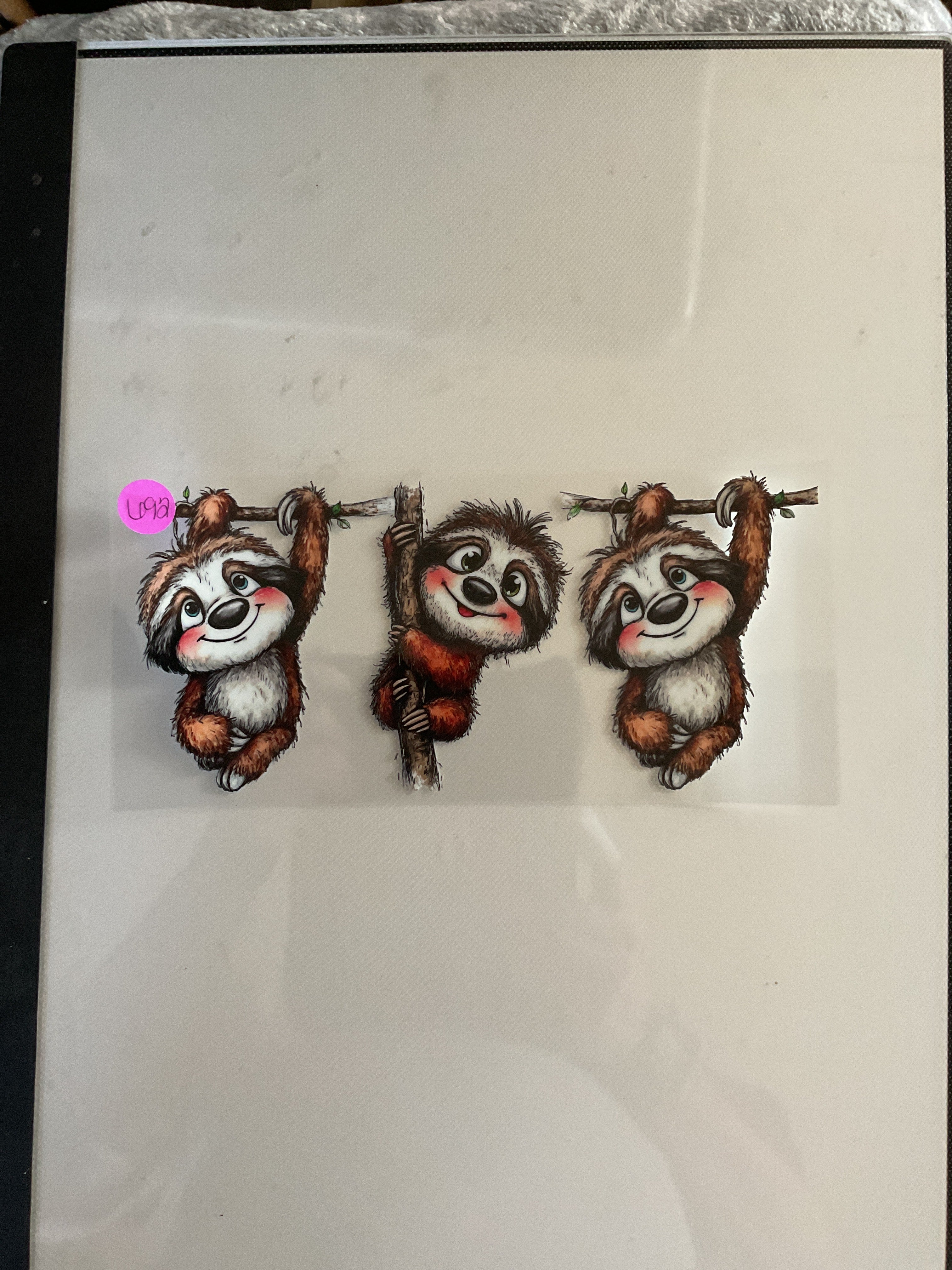 Sloths 692