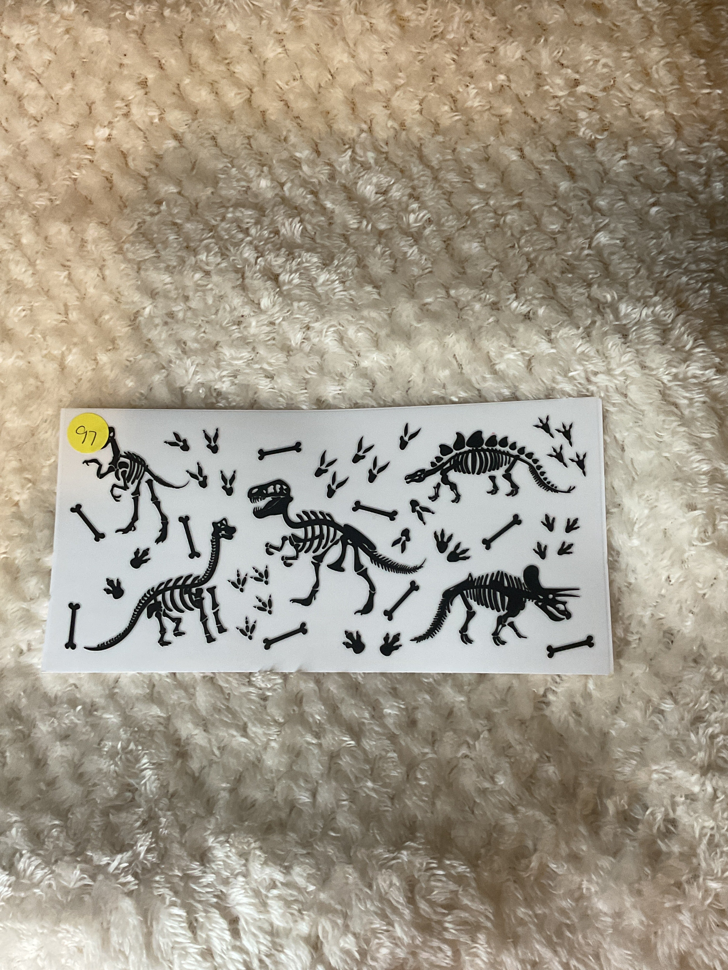 Dinosaur skeleton 097