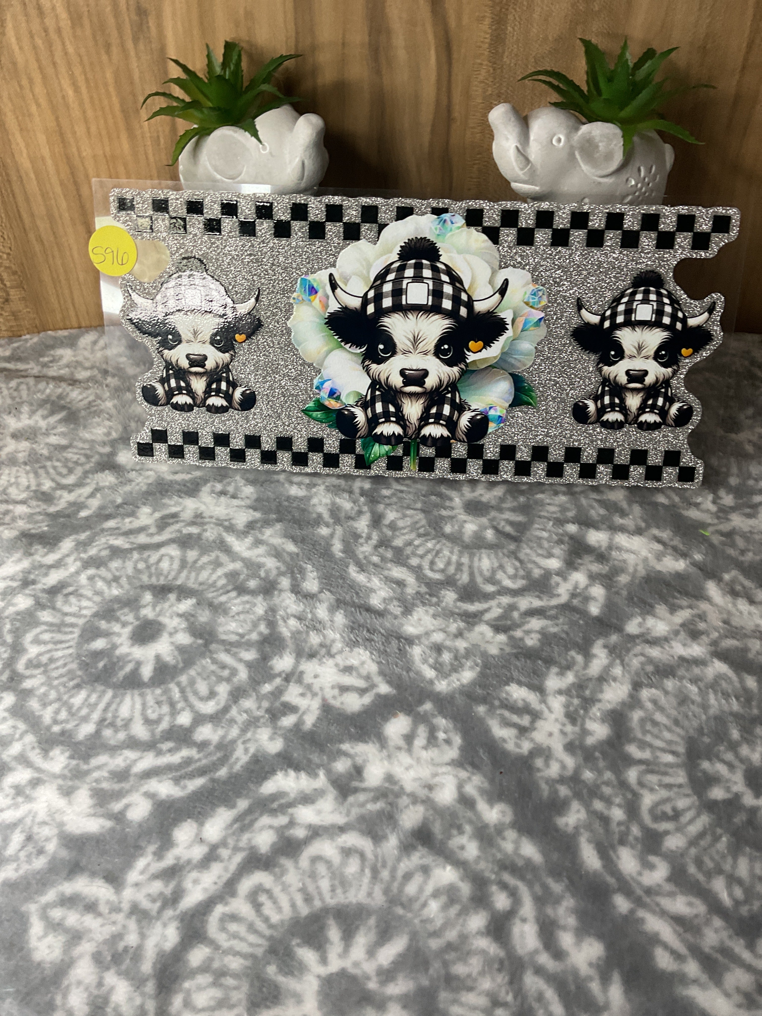 Black-and-white highland cow 596