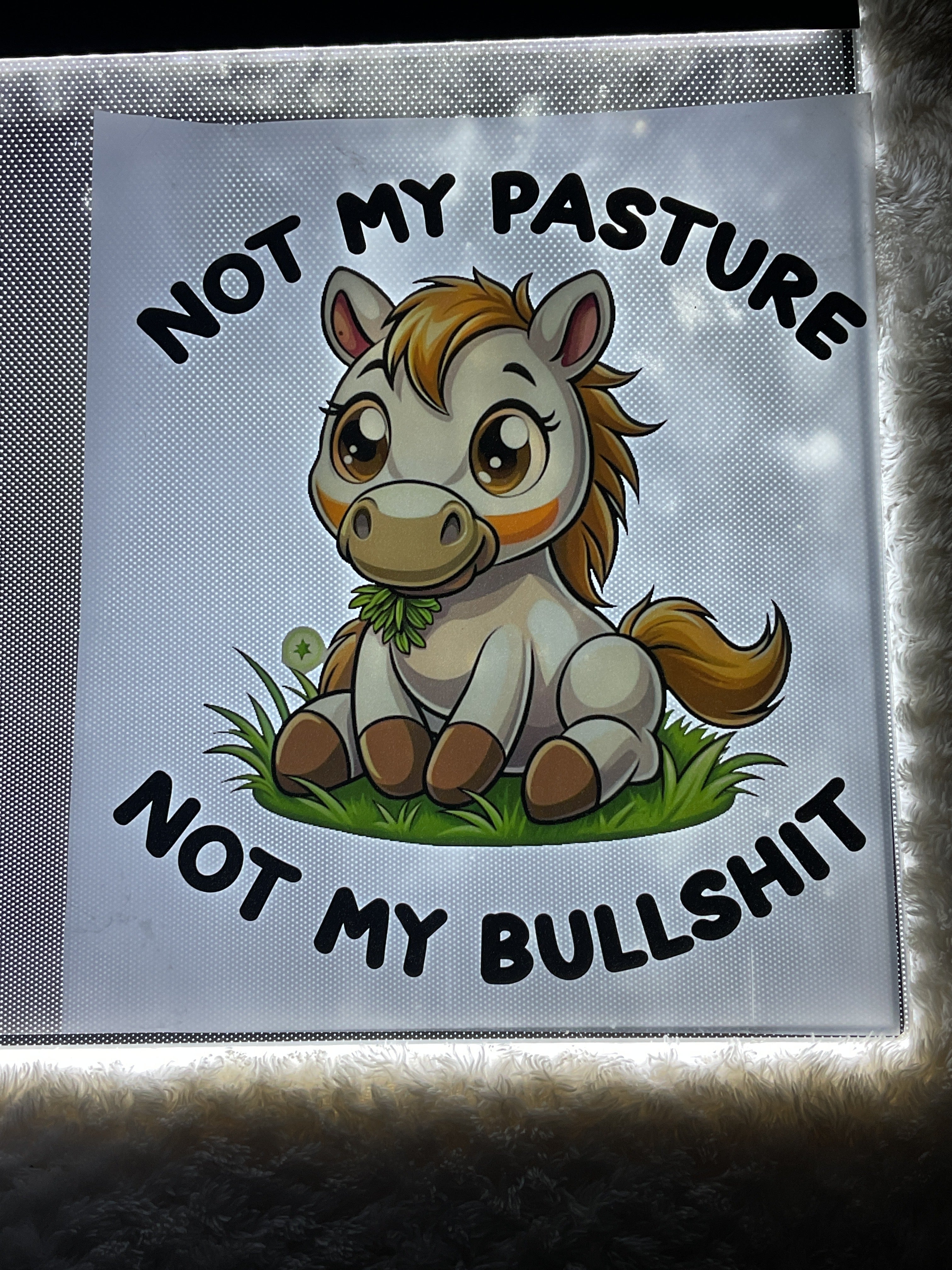 Not my pasture , not my bullshit
