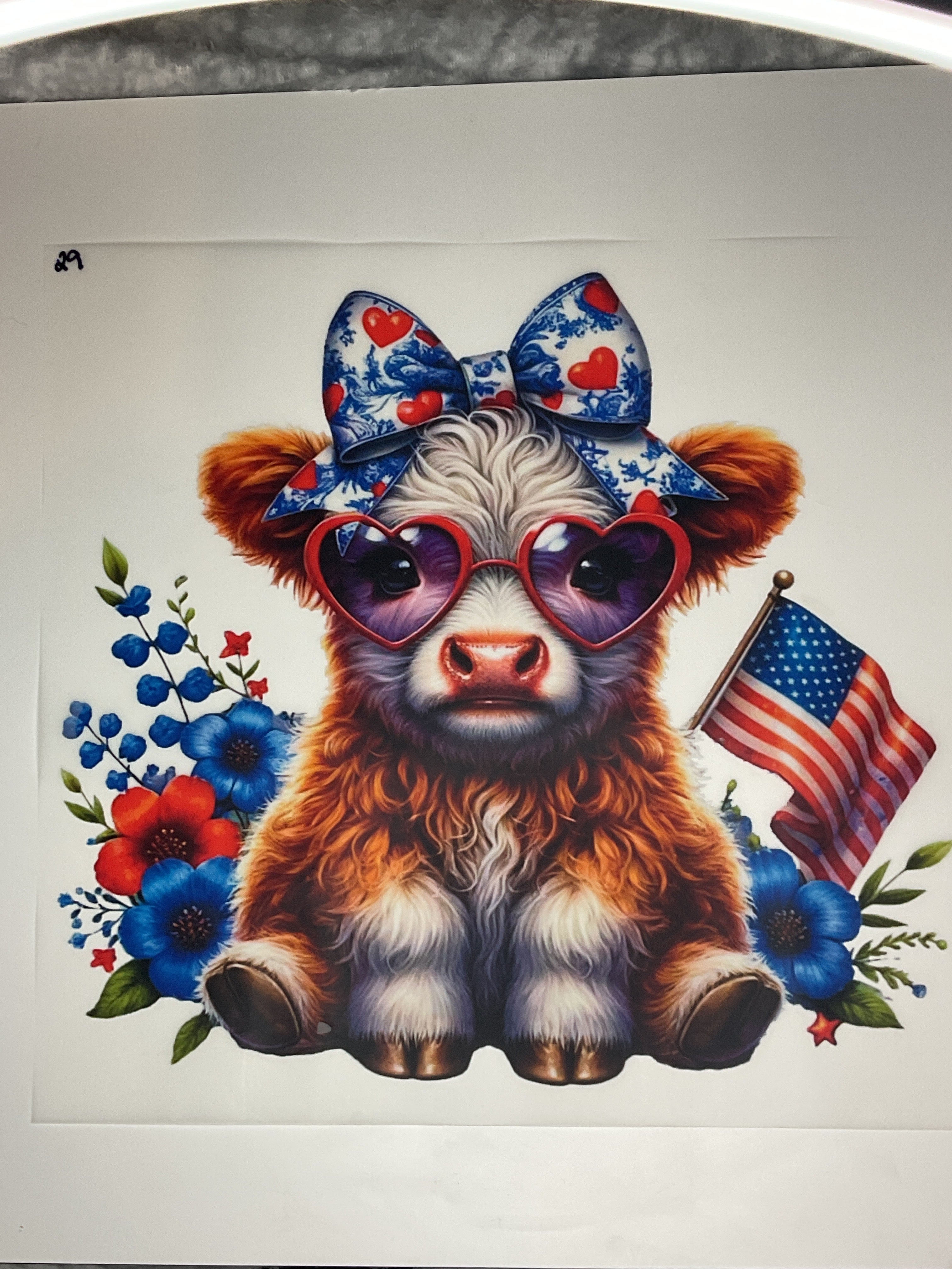USA Highland cow #29