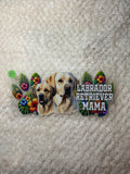 Labrador retriever, mama 299