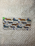 Wiener dogs 296
