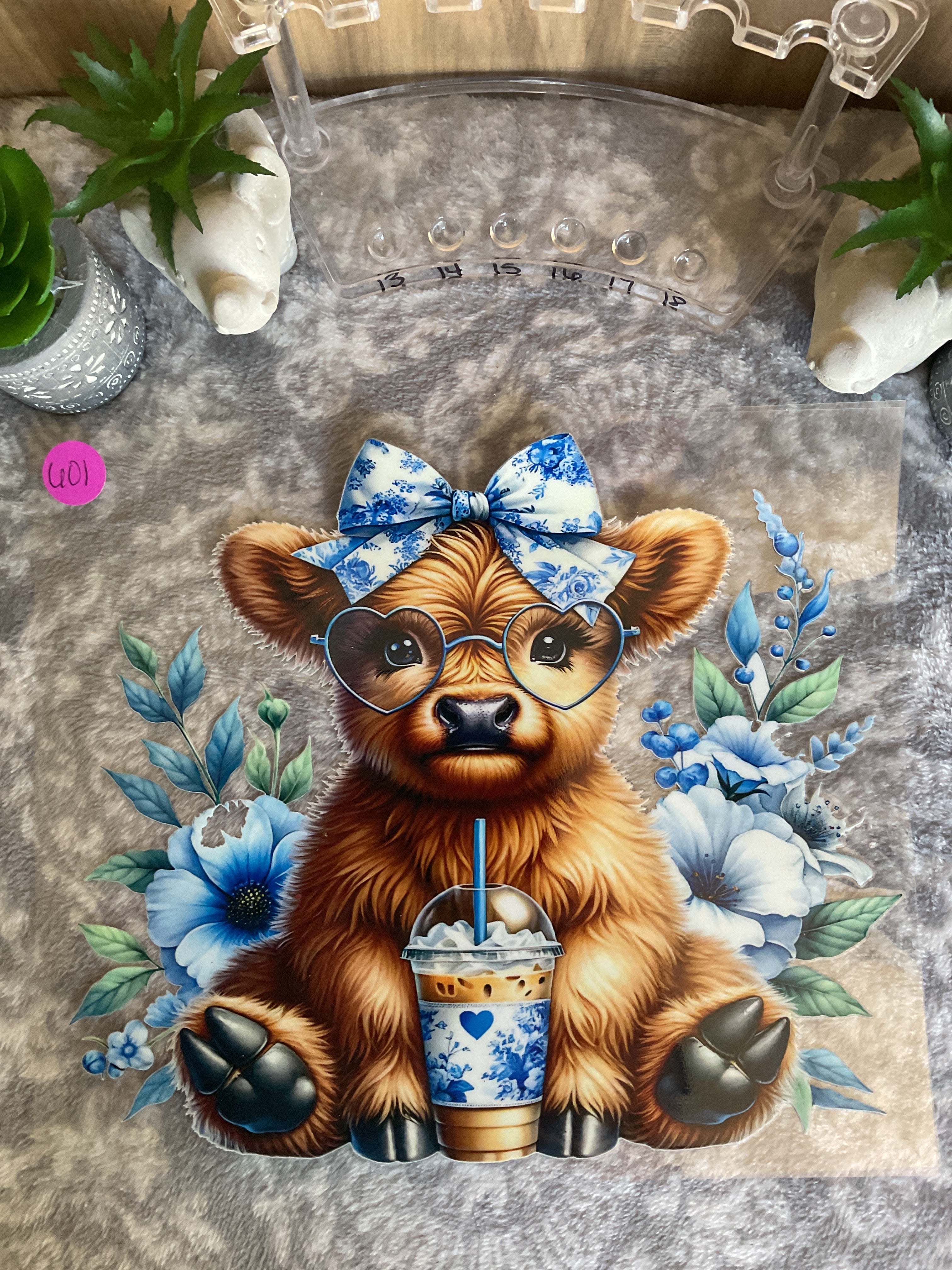 601 Highland cow blue with iced coffee