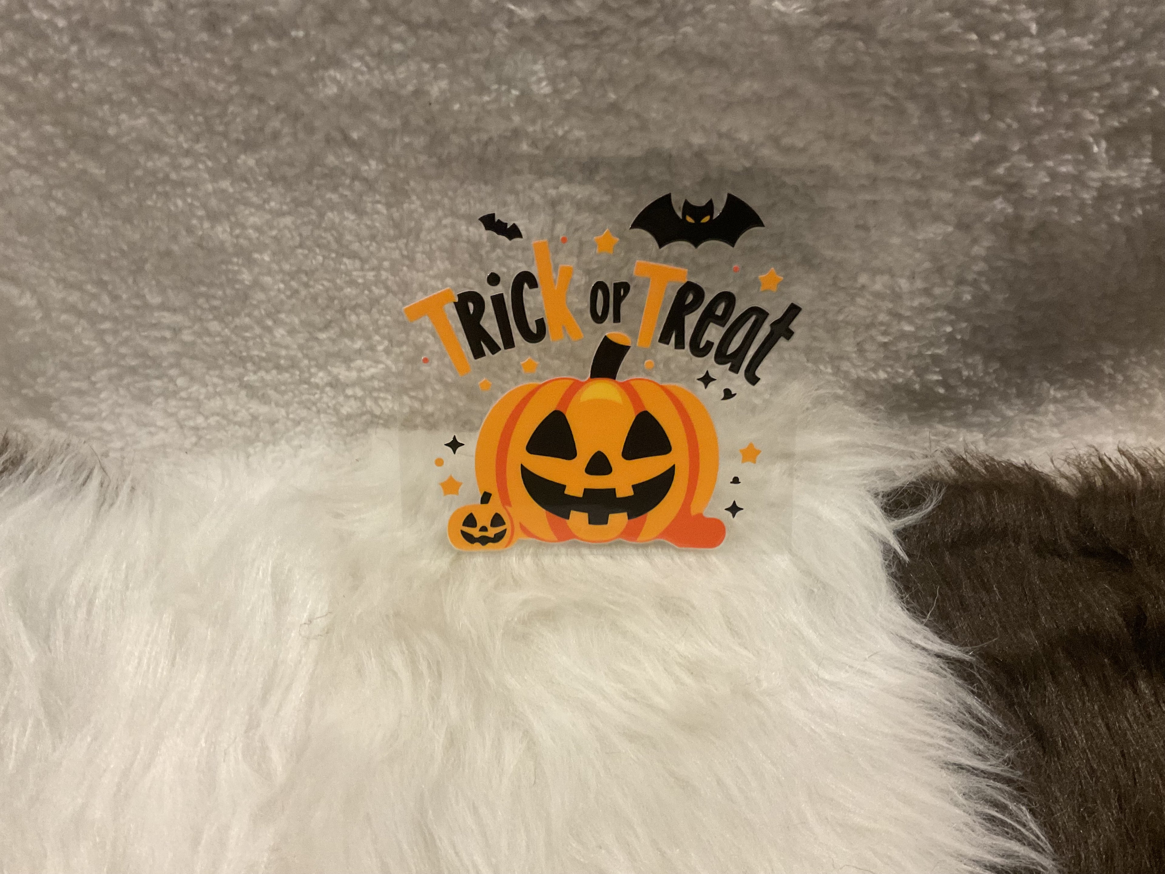 Trick or Treat w/Pumpkin