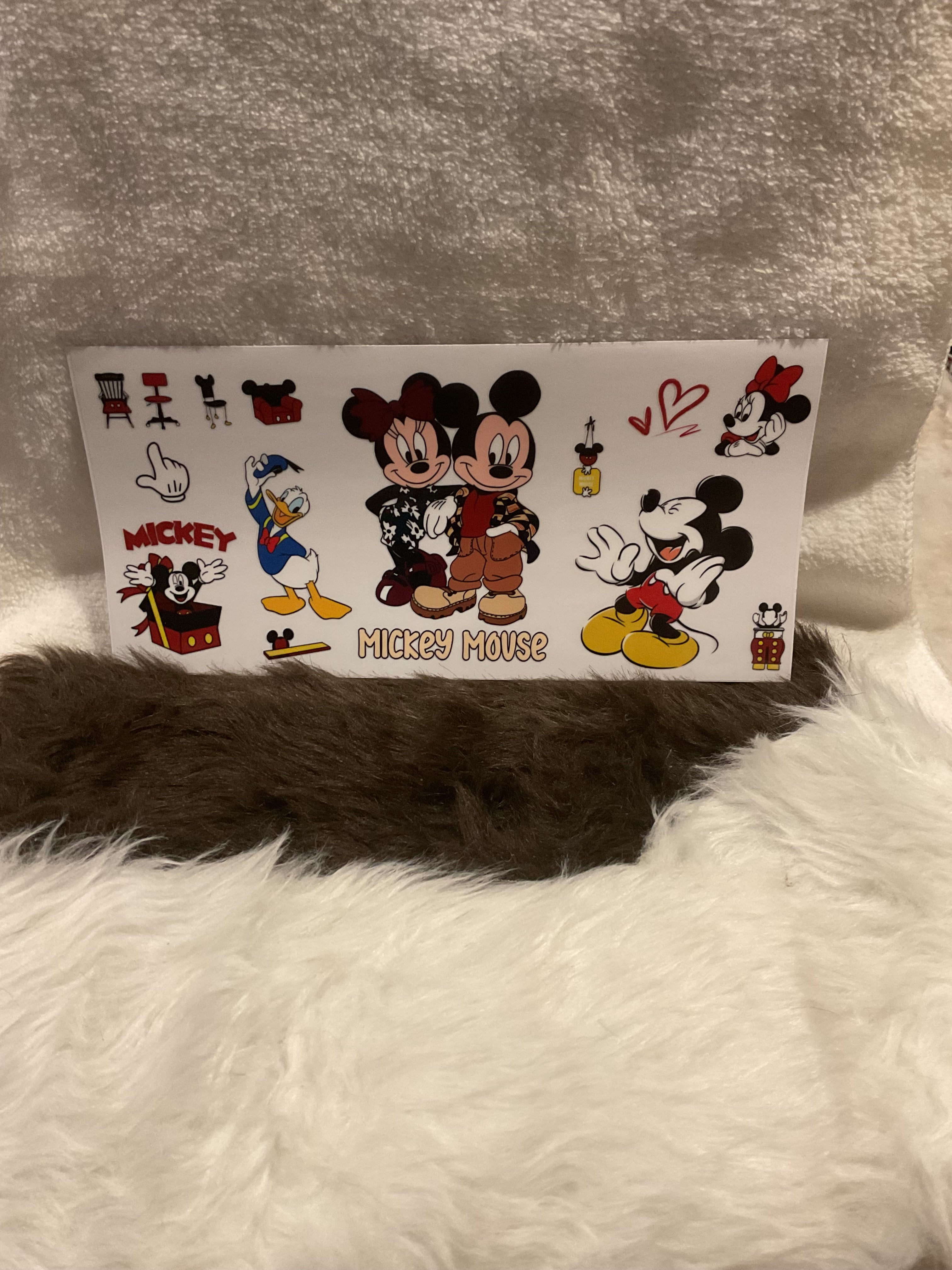 Mickey & Mini Mouse with Donald